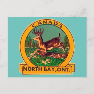 Postal North Bay, Ontario - Postcard