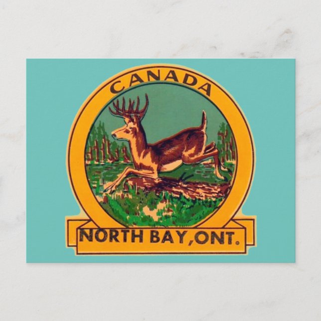 Postal North Bay, Ontario - Postcard (Anverso)