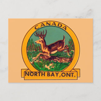 Postal North Bay, Ontario - Postcard