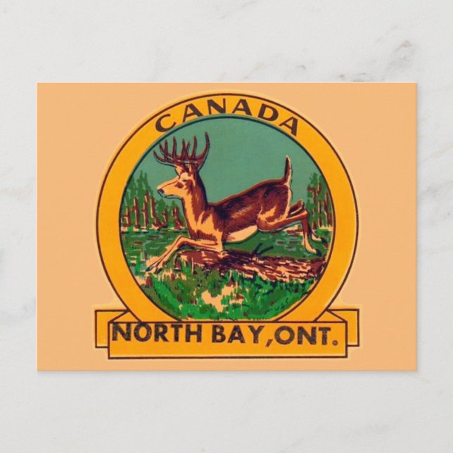 Postal North Bay, Ontario - Postcard (Anverso)