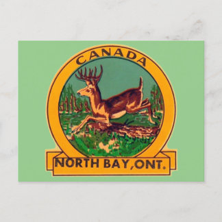 Postal North Bay, Ontario - Postcard