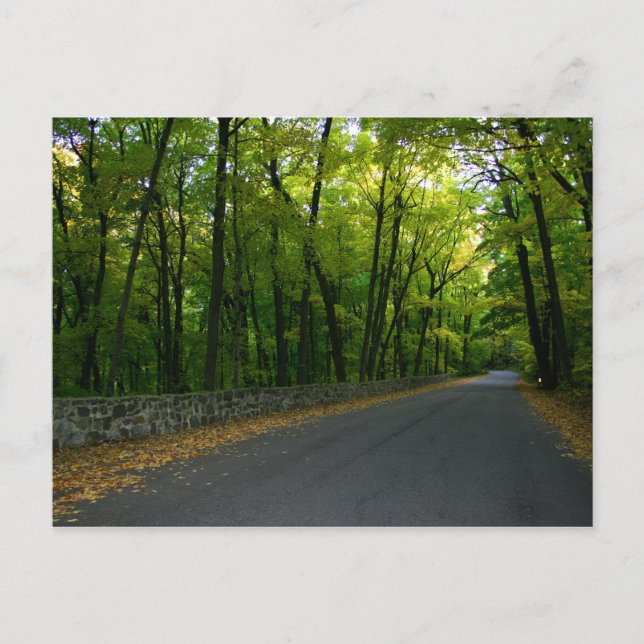 Postal North Shore Drive (Anverso)