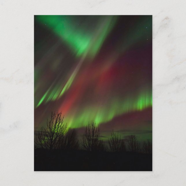 Postal Northern Lights | Scandinavia, Iceland (Anverso)