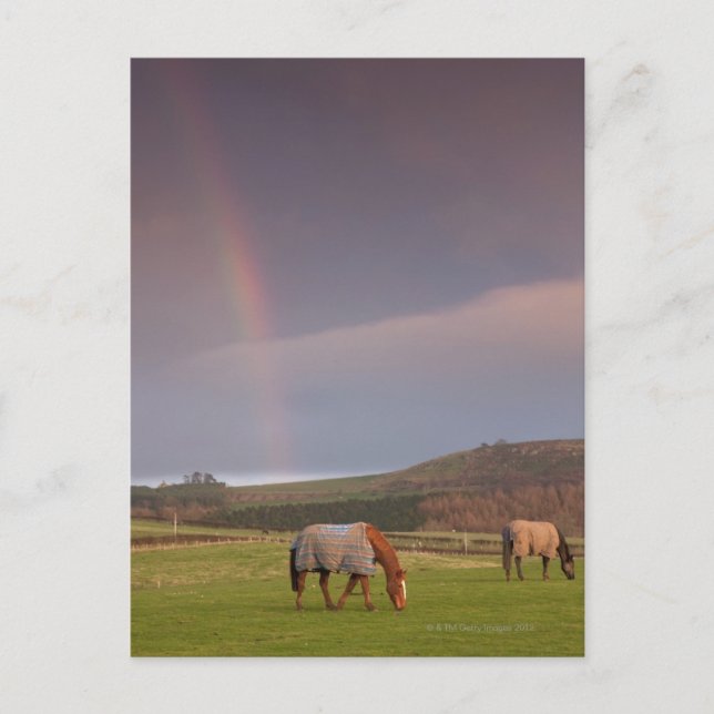 Postal Northumberland, Inglaterra (Anverso)
