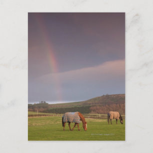 Postal Northumberland, Inglaterra