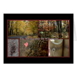 Postal Northwoods Wisconsin de la naturaleza
