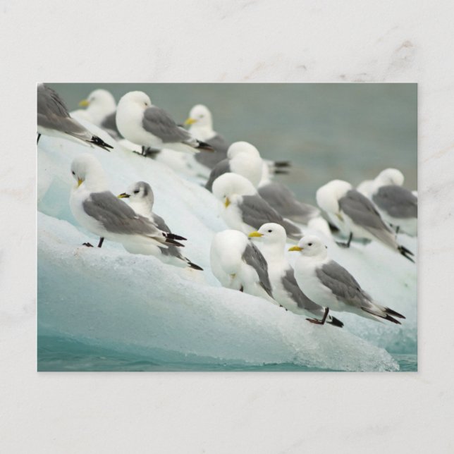Postal Noruega, archipiélago de Svalbard, Spitsbergen (Anverso)