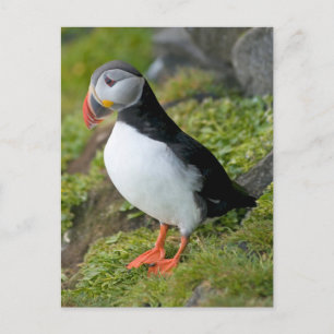 Postal Noruega, archipiélago de Svalbard, Spitsbergen 9