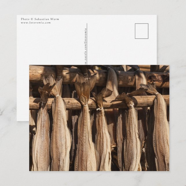 Postal Noruega Lofoten Stockfish (Anverso / Reverso)