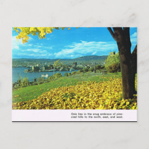 Postal Noruega vintage, primera visión de Oslo