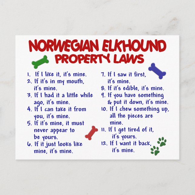 Postal NORWEGIAN ELKHOUND Property Laws 2 (Anverso)