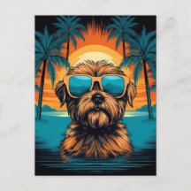 Norwich Terrier con gafas de sol en la playa