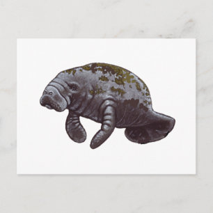 POSTAL NOS HACE FELIZ.