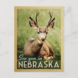 Postal Nos vemos en Nebraska - Vida silvestre Stag Deer