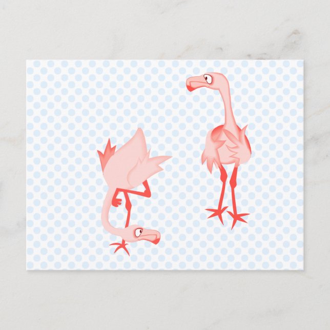 Postal Nosey flamingo (Anverso)