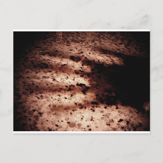 Postal Nosferatu (Anverso)