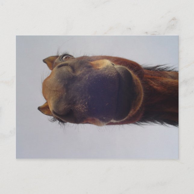 Postal Nosy (Anverso)