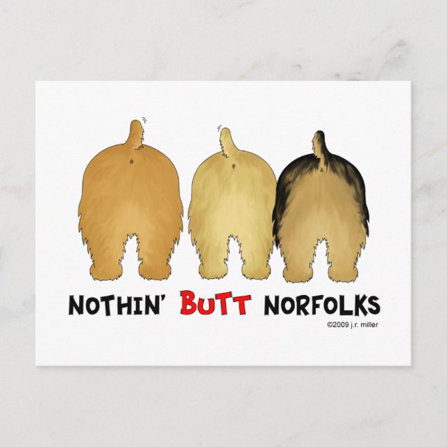 Postal Nothin' Butt Norpes (Anverso)