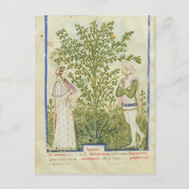 Postal Nov Acq Lat Celery, de 'Tacuinum Sanitatis' (Anverso)