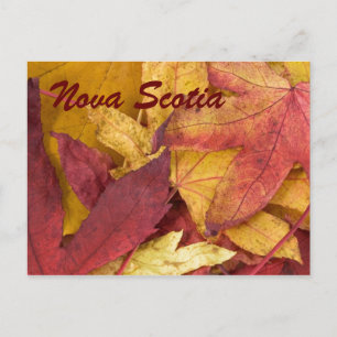 Postal Nova Scotia Autumn deja postcard
