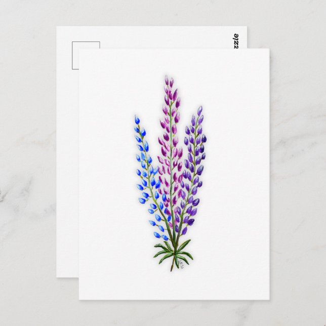 Postal Nova Sotia Lupines (Anverso / Reverso)