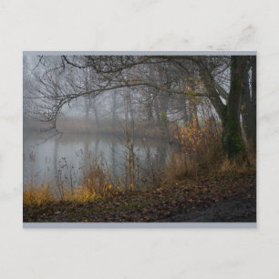 Postal November Tree CC0310