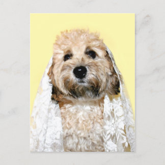 Postal Novia canina o dama de honor
