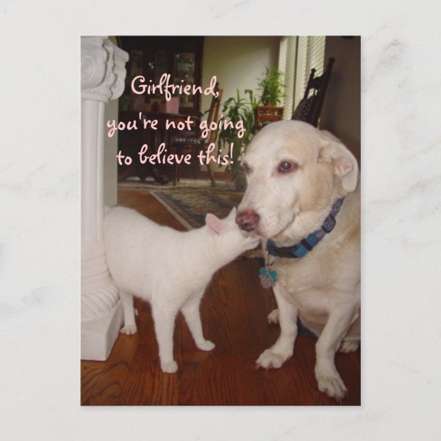 Postal Novia, no lo creerás. (Anverso)