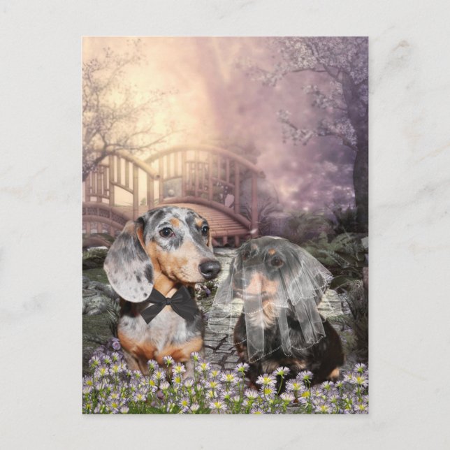 Postal Novia y novio de Dachshund (Anverso)