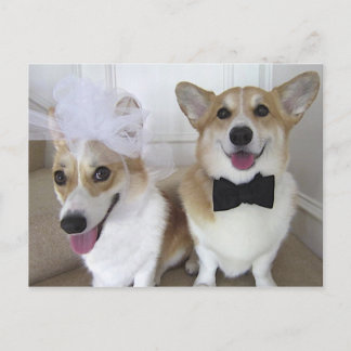 POSTAL NOVIA Y NOVIO DEL CORGI GALÉS