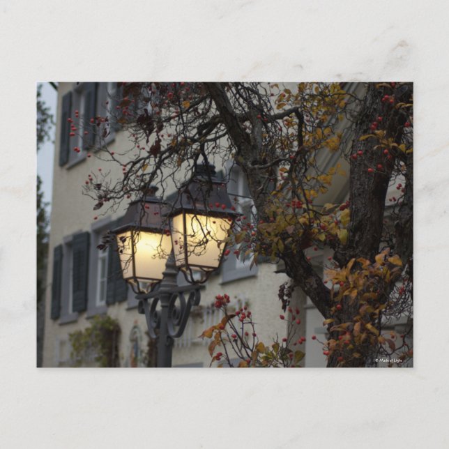 Postal Noviembre (Anverso)