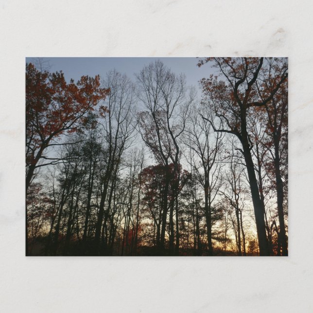 Postal Noviembre (Anverso)