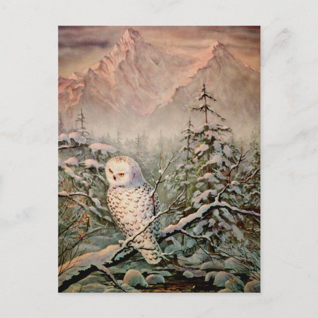 Postal NOWY OWL de SHARON SHARPE (Anverso)