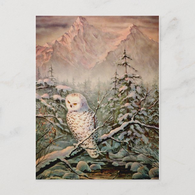 Postal NOWY OWL de SHARON SHARPE (Anverso)