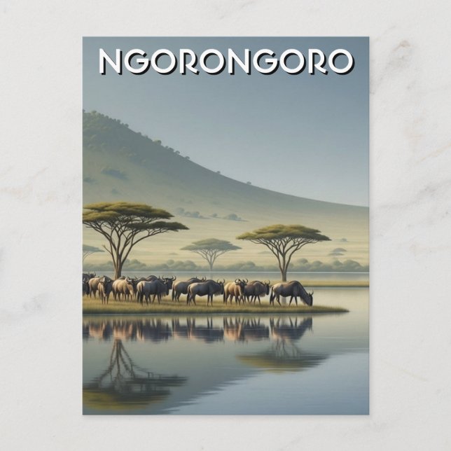 Postal Ñu de Ngorongoro Tanzania (Anverso)