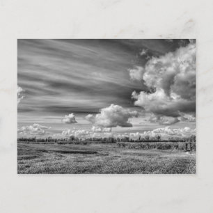 Postal Nubes de captura (B&W)