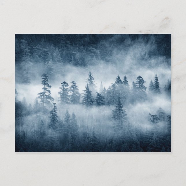 Postal Nubes de lluvia en el noroeste del Pacífico (Anverso)