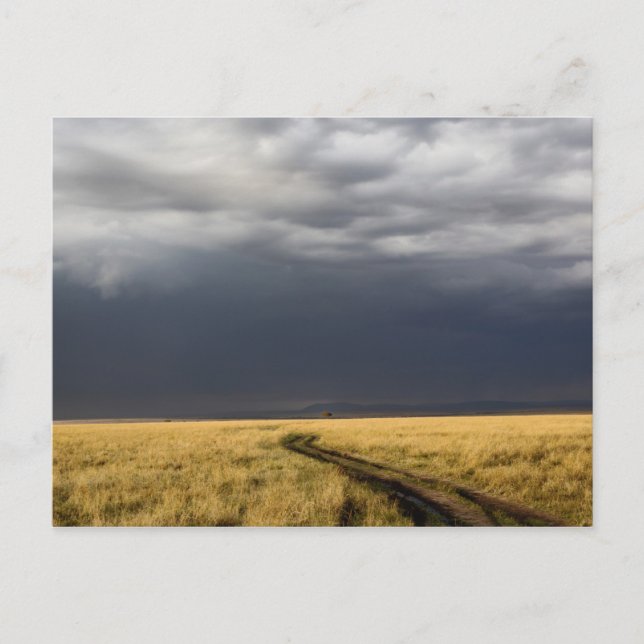 Postal Nubes de tormenta y carretera a través de llanuras (Anverso)