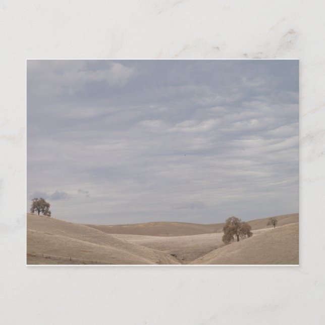 Postal Nubes sobre la fauna (Anverso)