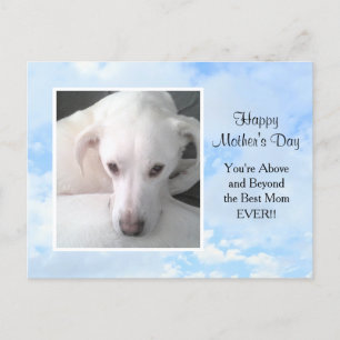 Postal Nublado Azul cielo mejor madre de perro de la hist