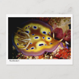 Postal Nudibranquio