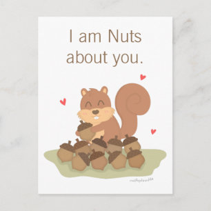 Postal Nueces de ardilla linda sobre ti broma de amor hum