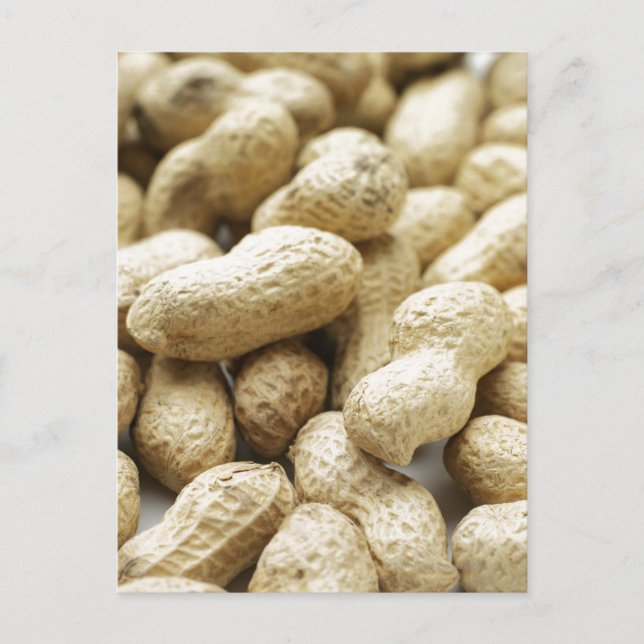 Postal Nueces de mono. (Anverso)