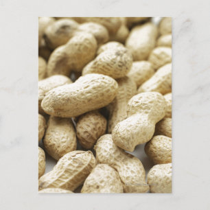 Postal Nueces de mono.