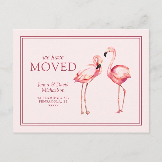 Postal Nuestra nueva dirección | Flamencos rosados bonito (Anverso)