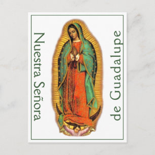 Postal Nuestra Señora de Guadalupe Postcard