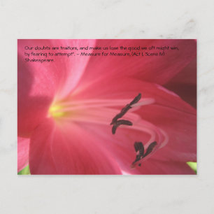 Postal Nuestras dudas son traidores, y nos hacen...