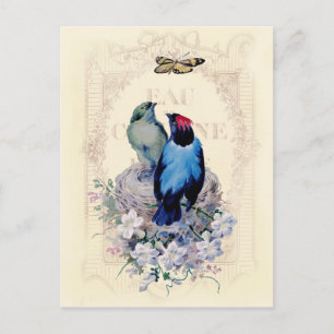 Postal Nuestro primer casero