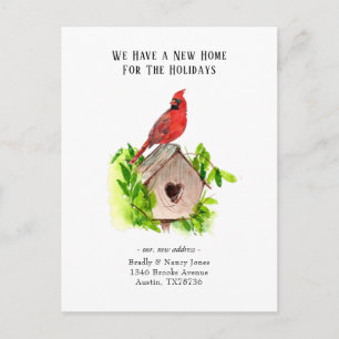 Postal Nueva casa de Cardinal para las fiestas navideñas