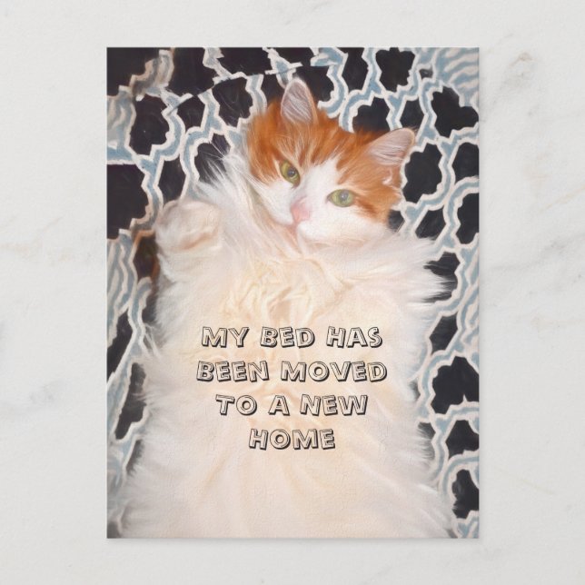 Postal Nueva dirección de movimiento de gato divertida (Anverso)